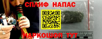 бошки Новозыбков