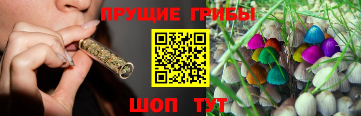 Галлюциногенные грибы Magic Shrooms Рыбинск